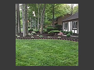 Landscaping Work, Euclid, OH  