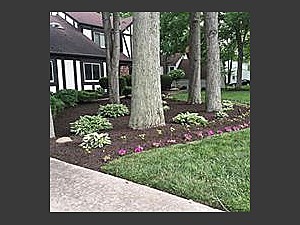 Landscaping Work, Cleveland, OH  