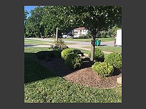 Landscaping, Painesville, OH