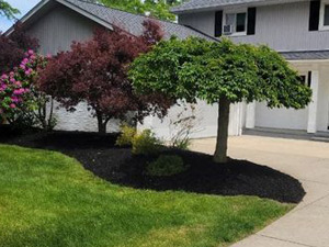 Pruning, Mentor, OH Pruning