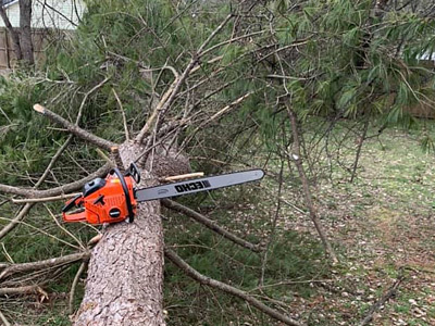 Tree Services, Cleveland, OH