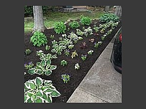 Planting, Mentor, OH Planting