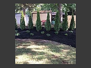 Landscaping, Willoughby, OH  