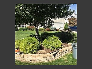 Landscaping, Euclid, OH  