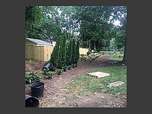 Landscaping, Mentor-on-the-Lake, OH  