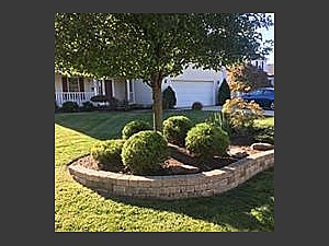 Bush Trimming, Mentor, OH Bush Trimming