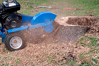 Stump Grinding, Mentor, OH