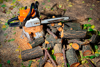Tree Removal, Mentor, OH