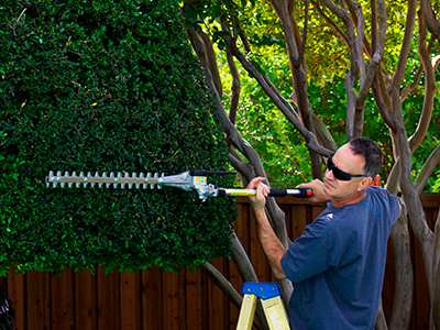 Bush Trimming Services, Mentor, OH